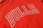 Chicago Bulls NBA Warmup Hoodiesuit