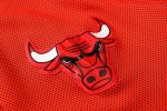 Chicago Bulls NBA Warmup Hoodiesuit