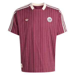 Ajax 25/26 Özel Seri Forma - HEMEN KARGO