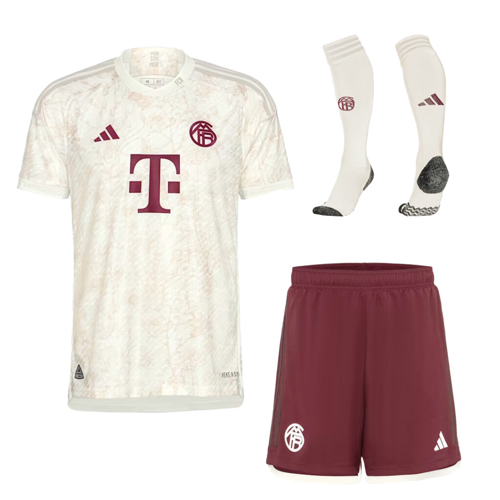 bayernalternatif