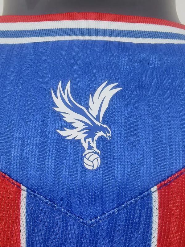 Crystal Palace 25/26 Profesyonel Maç İç Saha Forma 4 Crystal Palace 25/26 Profesyonel Maç İç Saha Forma - Görsel 4