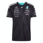 Mercedes AMG Petronas F1 Forma