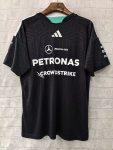 Mercedes AMG Petronas F1 Forma