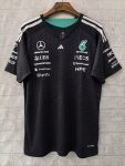 Mercedes AMG Petronas F1 Forma